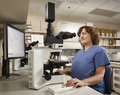 tech viewing fertility images with microscope