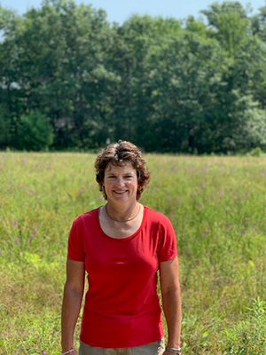 Regenerative Medicine: Getting Back to the Field